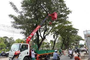 Bão số 16 đang gây mưa ở ĐBSCL 