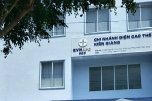 Tạm đình chỉ giám đốc Chi nhánh Điện cao thế Kiên Giang