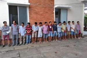  Bắt một tụ điểm đá gà ở Tiền Giang