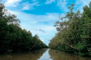 Vườn Quốc gia Mũi Cà Mau, qua đó phát hiện hàng loạt sai phạm, đặc biệt có dấu hiệu vi phạm hình sự về lập quỹ trái phép trên 3,4 tỷ đồng