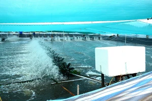 Cà Mau đề xuất dự án phát triển sinh kế bền vững 20.000 ha