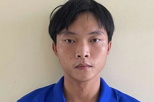 Lén cài ứng dụng MoMo trên điện thoại nữ đồng nghiệp để trộm tiền