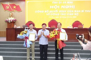 Tỉnh ủy Cà Mau triển khai quyết định của Ban Bí thư về công tác cán bộ