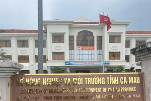 Chủ tịch Cà Mau chỉ đạo liên quan đến thực phẩm dịp Tết