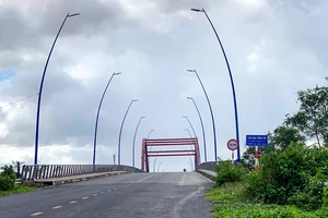 Cầu Mạc Đĩnh Chi có tổng chiều dài gần 3km. Ảnh: CHÂU ANH