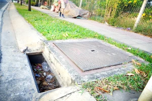 Góc ảnh: Những vỉ sắt không cánh mà bay