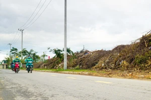 Đà Nẵng đề xuất chi 5,8 tỉ đồng xử lý rác sau bão 