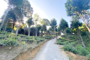 Au Tiên đẹp đến ngỡ ngàng. Ảnh: PVT 