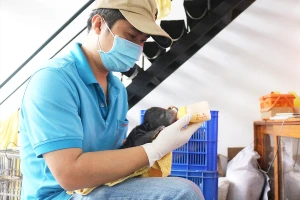 Chuyện ly kỳ ở Thảo Cầm Viên: Bé gấu trong căn phòng carton