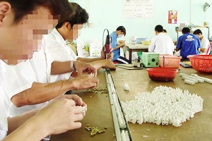 Pháp luật thiếu thống nhất gây khó cho việc cai nghiện