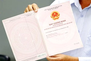 Những loại giấy tờ cần kiểm tra khi mua nhà, đất