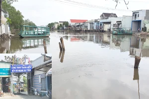 Dời bến phà 25 m, xã mất tiền tỉ mỗi năm