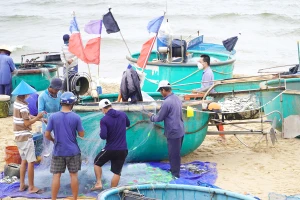 Bà Rịa-Vũng Tàu kiến nghị sửa đổi việc hỗ trợ lao động