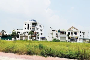 Huyện giao sai suất tái định cư ở Hải Phòng