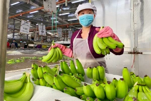 Nhà đầu tư Mỹ tiếp tục rót cả tỉ đô vào Việt Nam