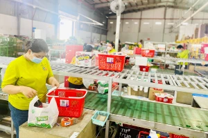 Nhiều ông lớn Việt nhảy vào sân chơi thương mại điện tử