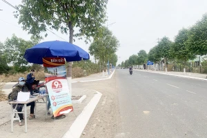 Loạn sốt đất cả 3 miền