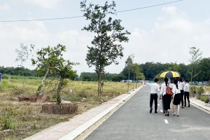 Lấn cấn kinh doanh nhà đất phải lập doanh nghiệp