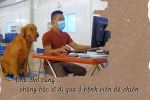 Chú chó cùng chàng bác sĩ đi qua 3 bệnh viện dã chiến