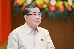 Phó Chủ tịch Quốc hội Nguyễn Đức Hải phát biểu tại phiên họp. Ảnh: PHẠM THĂNG/quochoi.vn