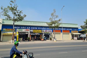 UBND TP Biên Hòa có báo cáo gửi UBND tỉnh Đồng Nai về việc cấp 73 sổ hồng cho các hộ gia đình từng là xã viên của Hợp tác xã Gò Me. Ảnh: VH