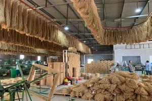 Nhiều mặt hàng xuất khẩu từ cây dừa Bến Tre đã được sản xuất theo tiêu chuẩn xanh. Ảnh: TU