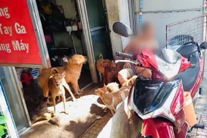 Căn nhà 190 Hoàng Diệu, phường 9, quận 4 vẫn thường xuyên thả chó ra vỉa hè trước nhà. (Ảnh do người dân cung cấp)