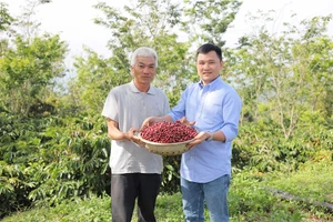 Doanh nghiệp và khát khao làm cà phê sạch