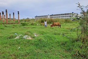 Vì sao dự án khu nhà ở công nhân 3 ha lỗi hẹn?