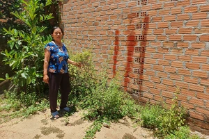 Bà Nông chỉ vết sơn đỏ, cho rằng đây là vị trí đường đi cũ đã bị ông H lấn chiếm để xây nhà. Ảnh: QN