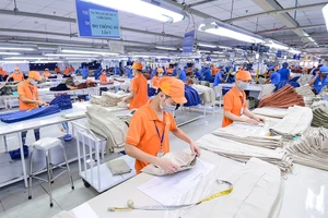 Theo chuyên gia, ngành chức năng cần có nghiên cứu, khảo sát thực tế để định hướng lại thị trường cho doanh nghiệp. Ảnh: P.MINH