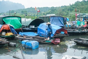Chiều 18-7, tại Quảng Ninh vẫn còn mưa. Tàu thuyền được cảnh báo chưa vội ra biển đánh bắt. Ảnh: PHI HÙNG