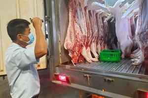 Thịt heo trước khi đưa vào chợ đầu mối Hóc Môn kinh doanh được Ban quản lý An toàn thực phẩm TP.HCM kiểm tra. Ảnh: TRẦN NGỌC