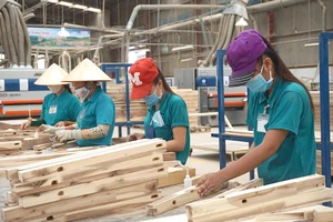 Các doanh nghiệp ngành gỗ cho biết gặp khó trong việc hoàn thuế giá trị gia tăng. Ảnh: Q.HUY