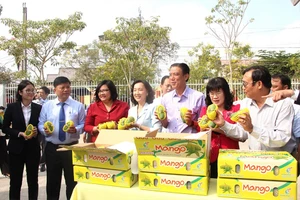 Những ngày đầu năm mới các ngành hàng như gạo, trái cây đã nhộn nhịp sản xuất cung ứng ra thị trường. Ảnh: TÚ UYÊN