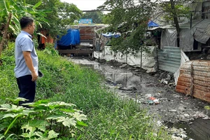 Nước rạch Cầu Suối đi qua địa bàn phường Đông Hưng Thuận, quận 12 đục ngầu, bốc mùi hôi nồng nặc. Ảnh: TM