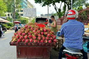 Xe tự chế bán trái cây tại đường Vũ Tùng, phường 1, quận Bình Thạnh, TP.HCM. Ảnh: THẢO HIỀN