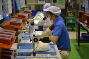 Doanh nghiệp mong muốn báo Pháp Luật TP.HCM tiếp tục thông tin về chính sách hỗ trợ cho doanh nghiệp nhỏ và vừa, thúc đẩy phát triển kinh tế. Ảnh: QH