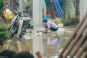 Người dân Nha Trang (tỉnh Khánh Hòa) dọn dẹp bùn đất sau bão lũ. Ảnh: XUÂN HOÁT