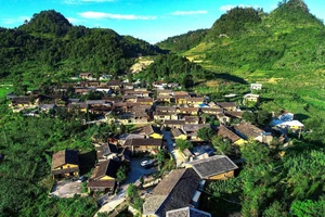 Lô Lô Chải - Xuân về đá cũng nở hoa