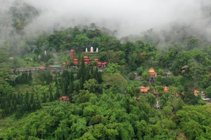 Đỉnh thiêng Tà Kóu