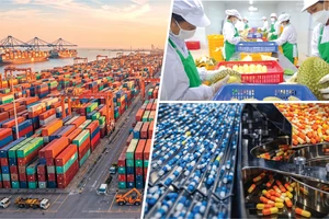 Cải cách thể chế, doanh nghiệp bứt phá 2026