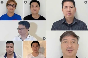 Việt Nam và câu chuyện bảo hộ sở hữu trí tuệ: Cần một chiến lược bền vững