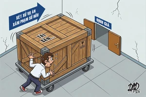 Các tội xâm phạm sở hữu: Nhiều vấn đề cần hoàn thiện