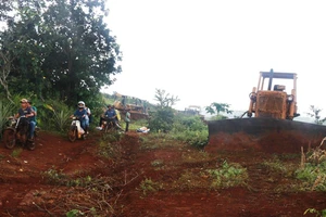 Vụ nổ súng ở Đắk Nông: GĐ công ty Long Sơn từng nói gì?