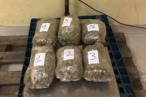Triệt phá đường dây vận chuyển 57 kg cần sa từ Mỹ về Việt Nam 