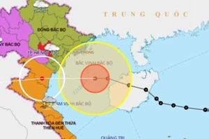 Bão số 7 sắp vào các tỉnh từ Quảng Ninh đến Nghệ An 