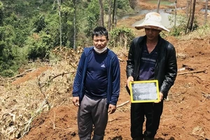 Nguyễn Doãn Trung và Phan Văn Thanh bị bắt giữ vì hành vi phá 1,9 ha rừng