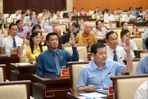 HĐND TP.HCM lập tổ công tác giám sát kết quả thực hiện Nghị quyết 98