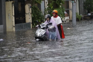 TP.HCM: Tập trung triển khai các dự án chống ngập